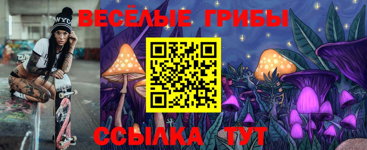 Междуреченск  Псилоцибиновые грибы ЛСД  Галлюциногенные грибы ЛСД  цены наркотик  Вход с VPN 