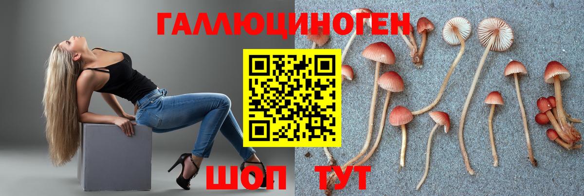 Псилоцибиновые грибы Psilocybine cubensis Междуреченск